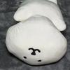 Authentic Nagano Nongdamgom Chewy Lying Big Mochi Cushion Plush Toy Brand New