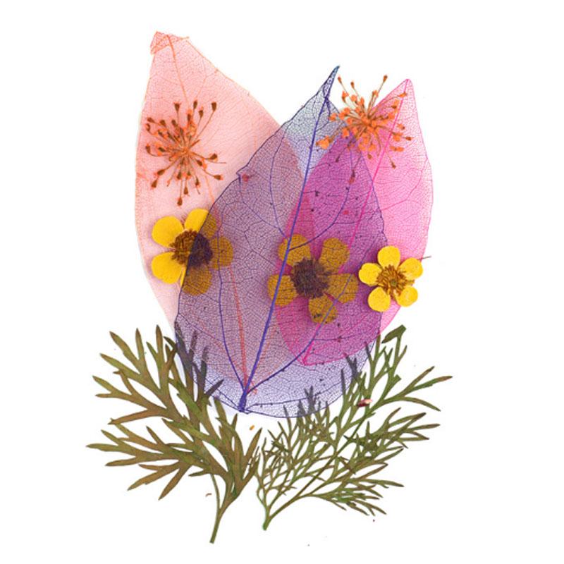 Популярные маленькие 25 шт./пакет, высокое качество, украшение для дома, сушеные цветы, прессованные цветы, консервированные цветы, сделай сам, мини-цветы ручной работы