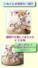 First Toy Bear with Photo Perfect for Half 100 and Baby My Baby List Plush Perfect as a Gift or Baby Shower Wooden Tag and JP-SAKURA [Authentic] Set,
