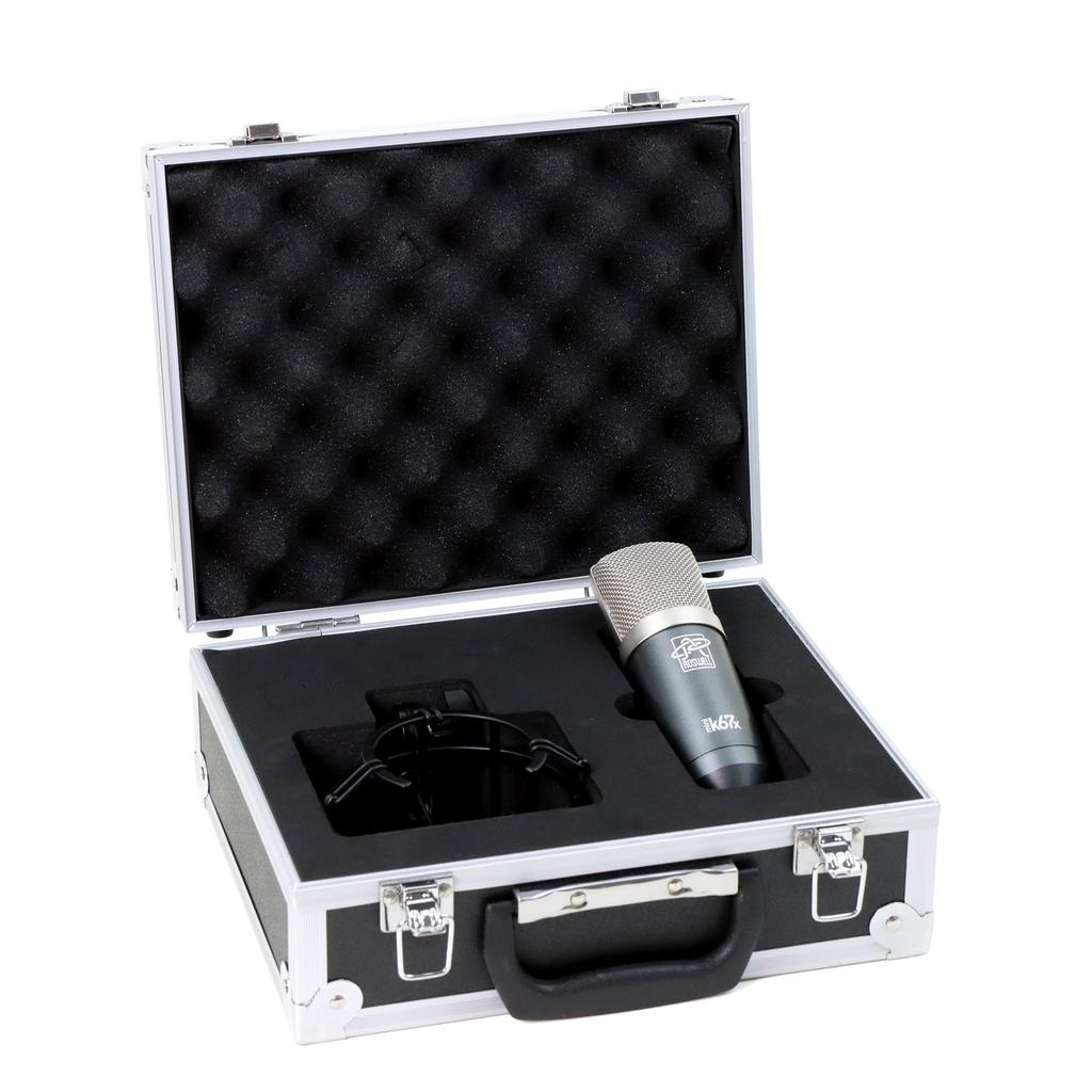 Roswell Pro Audio Mini K67x Large Diaphragm Condenser Microphone