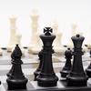 Portable 2-in-1 Chess & Checkers Set with Folding Magnetic Board - Size Medium (Black & White)