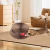 Organ Cat Scratcher Toy Interactive Play Grinding Claw Enrichment Training Cardboard