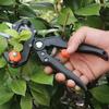 Grafting Pruner Garden Nursery Tools Branch Secateur Pruning Plant Shears Scissors Set Fruit Tree Vaccination Bud Cutter