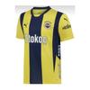 Fenerbaahe - желтая/темно-синяя футбольная майка для взрослых без названия нового сезона 2024/2025