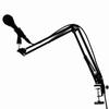Platinum Flexible Desk Mic Stand Black MPC1