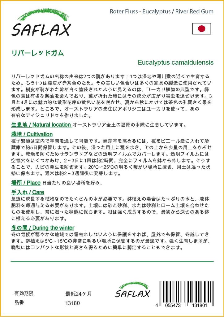 SAFLAX River Red Gum - 200 семян - Eucalyptus camaldulensis