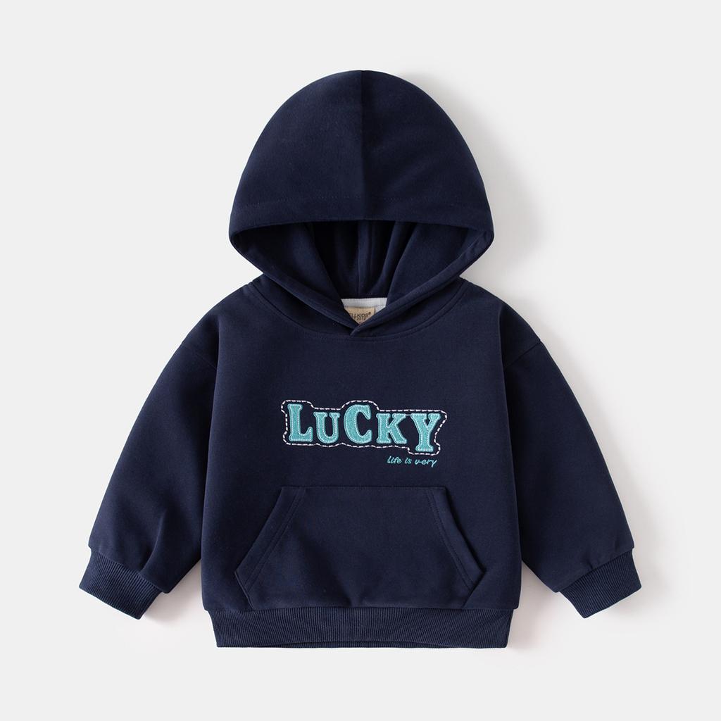 Boys Hoodie Sweatshirt Long Sleeve Casual Streetwear Pullover Spring Autumn Fashion Top Clothing for Toddler and Kids