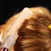 Girl Hair Styling Tool Hairdressing Yak Horn Comb Massage Comb Foldable Hair Care Tool