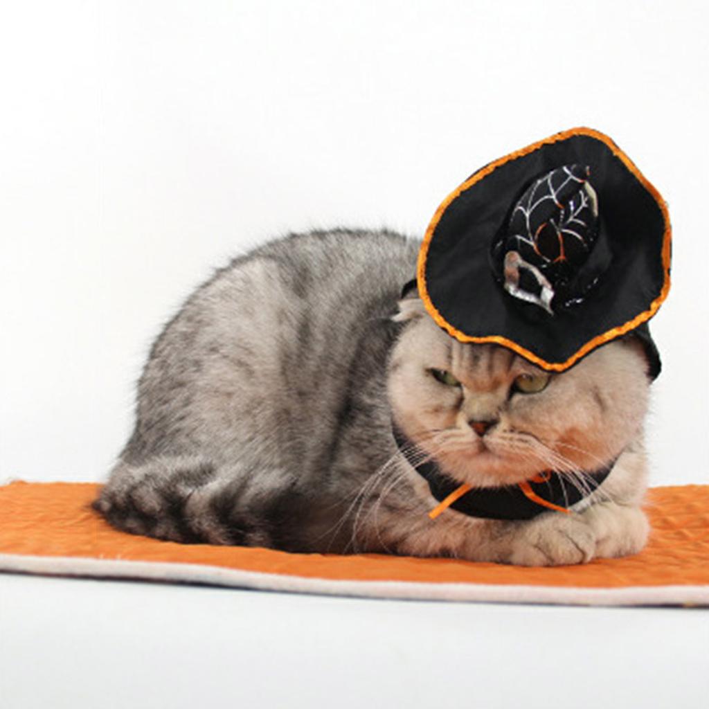Милая тематическая шляпа ведьмы для косплея для кошки, собаки, нарядного костюма, косплея, теплая шапка, аксессуары для собак и кошек