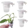 ST TS Hydroponic Plant Holder Cups, Set of 4, Wall-Mounted Hanging Planter, Flower Pot Accessory, Stand for Aquatic Plants and Houseplants
