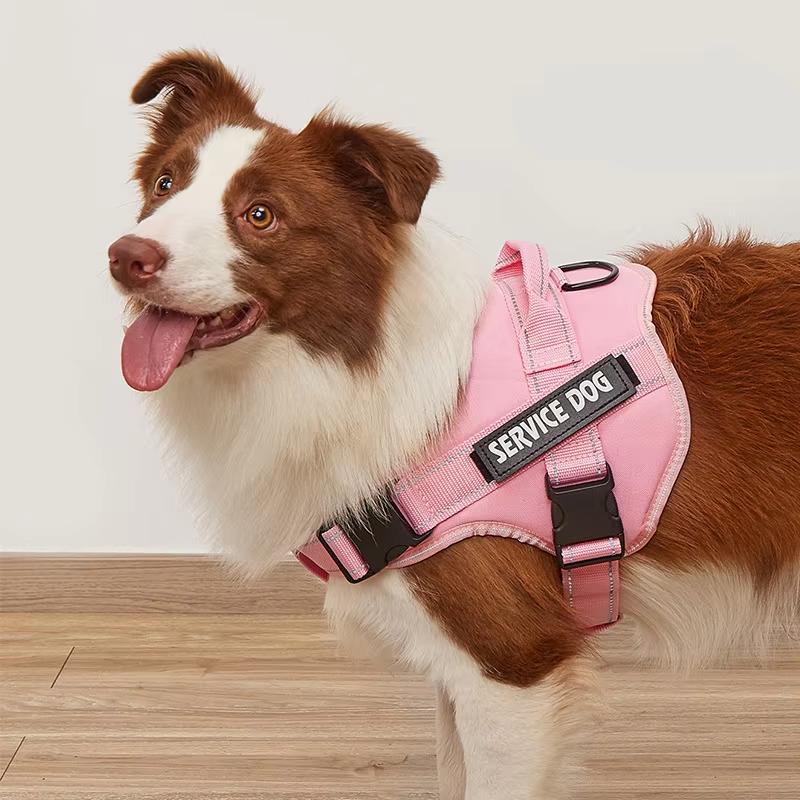 Премиальная шлейка для служебной собаки Светоотражающая, дышащая и регулируемая - Идеально подходит для питомцев эмоциональной поддержки всех размеров В комплекте 4Rem