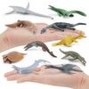 Ancient Marine Creatures Model Pack Pvc Static Figures For Aquarium Decor And Educational Use