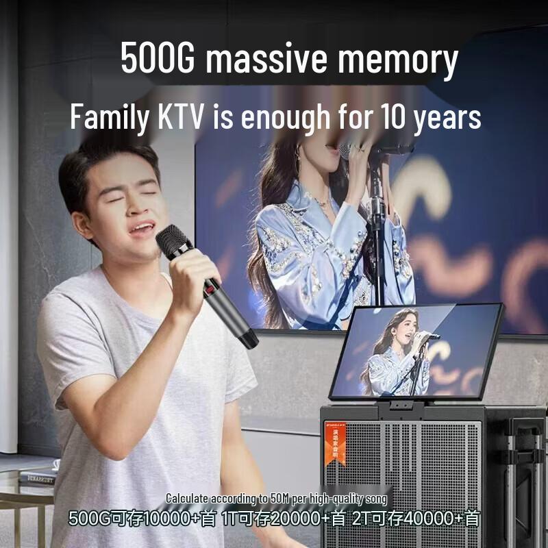 SANSUI Q188 Outdoor Karaoke System with Display (CN version)