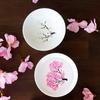 Magic Sakura Sake Cup Color Change with Cold/Hot Water-See Peach Cherry Flowers Bloom Magically Sakura Blossom Tea Bowl