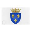 Drapeau - Rois De France - 90 X 150 Cm - Polyester - Impression Recto/verso - Œillets En Fer