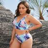 Плюс размер комплект бикини женский сексуальный принт с высокой талией Холтер Купальники Сплит бикини комплект из двух предметов Biquini