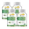 Pslalae - Olive Leaf Extract Capsules - 750 mg Olive Leaf Extract with 20% Oleurotin