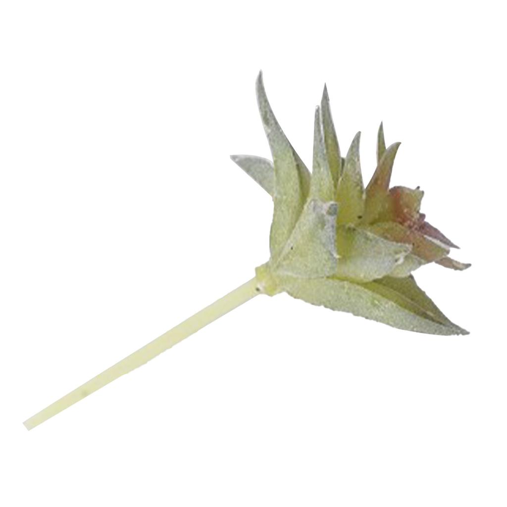 Искусственное суккулентное растение, мягкое ПВХ, высокая имитация, мини-поддельное растение для украшения стола в домашнем офисе