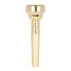 Gold-plated 17C Trumpet Mouthpiece Professional Instrument Trumpet Mouth  Musical Parts