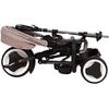 QPlay Tricycle Rito Plus Junior Acier Gris/noir