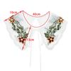 Organza Embroidery Dingzhu Shawl Collar White Detachable Shirt Collar Fashion Women's Lace Collar