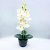Aphrodite Phalaenopsis Artificial Rchb Potted Plant  For Gift And Decor Interior