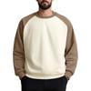Unisex Colorblock Round Neck Pullover Top Raglan Sleeve Long Sleeve Sweatshirt