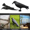Crow Decoys Black Feathered Crow Standing Simulation Raven Statue Hunting Decoy Props Outdoors and Garden Decoration