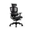 Fauteuil gaming - Cougar Gaming - ARGO ONE BLACK - Ergonomique - Réglable - Accoudoirs ajustables
