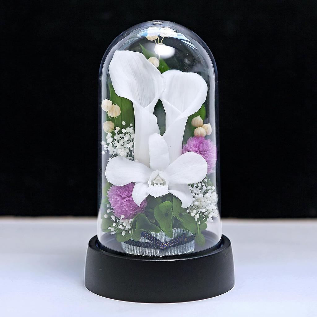 Искусство Четыре Сезона Мини Цвет Мини Купол Белые Стабилизированные Цветы