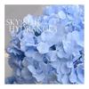 1 Pcs Artificial Hydrangea Silk DIY Artificial Flower Decoration Vase Flowers Colorful Decorative Flower Wedding Party Luxury
