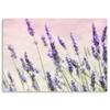Canvas print, Lavender flowers