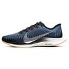 Zoom Pegasus Turbo 2 Черный AT2863-009