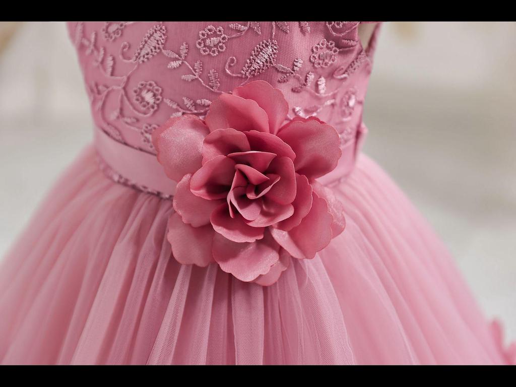 Новое детское кружевное платье принцессы Cross-Border: Праздничная пышная юбка и костюм для выступления для годовалых детей