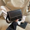 Stylish and Simple Wide Shoulder Strap Small Square Bag Retro Trend Flip Lock Versatile Trend New Oblique Span Shoulder Women's Bag