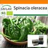 Garden in the Bag - Органический - Шпинат - Матадор - 300 семян - С субстратом в подходящем пакете - Spinacia oleracea