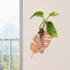 Plant Storage Rack Hydroponic Vase Leaf Shape Hanging Planter Wall Hanging Vase  Home/Office Decor