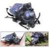 Realistic Beetle Action Figures Wild Insect Lifelike Insect Figurines  Desktop Ornament