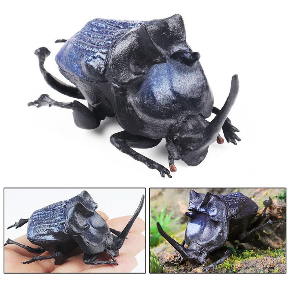 Realistic Beetle Action Figures Wild Insect Lifelike Insect Figurines Desktop Ornament