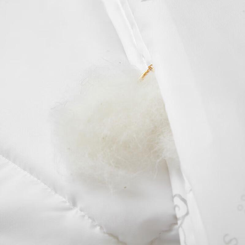 Tianqin Australian Wool Quilt