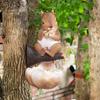 Resin Bird Feeder Cute Art Statue Multi Functional Squirrel Tree Hanging  Micro Landscape