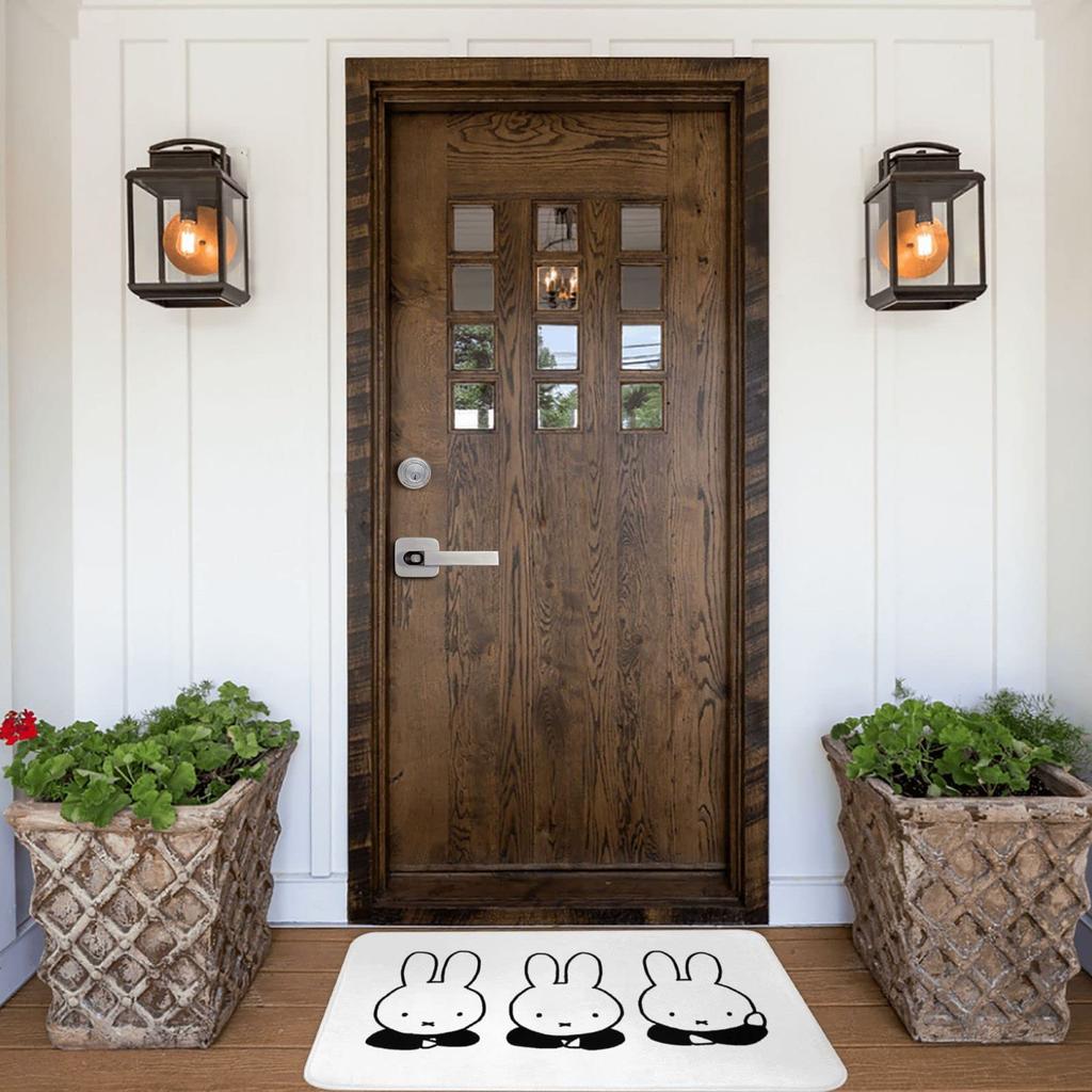 Миффи вход и полностью идеально для помещений и улицы Пушистый коврик для ванной двери для удаления грязи и дома 40х60см, стильный, нескользящий, моющийся, быстросохнущий,
