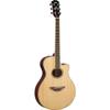 Electric Acoustic Guitar APX600 NT