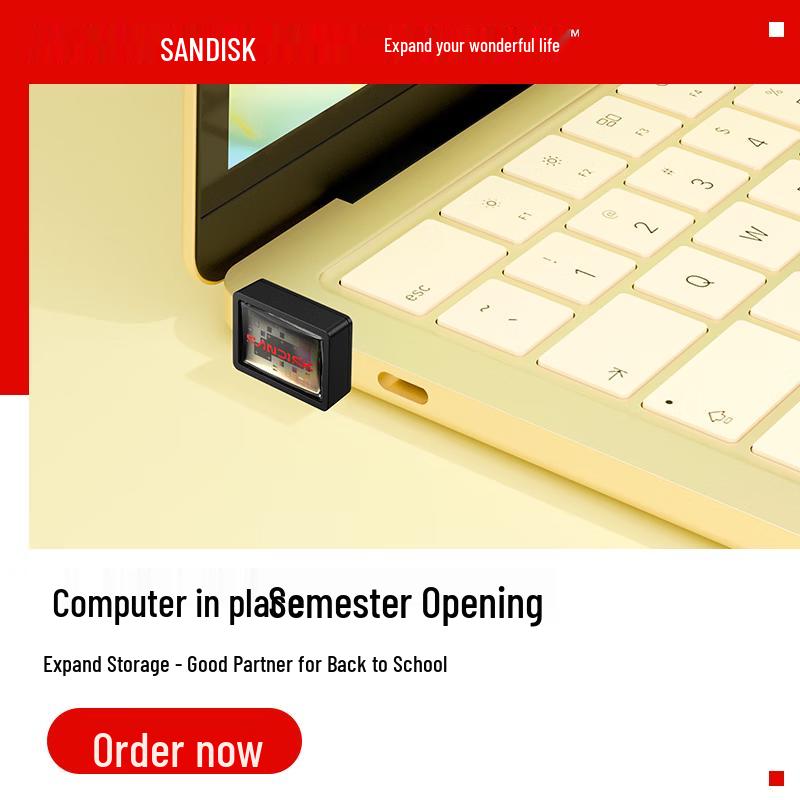 SanDisk USB-накопитель CZ530 64 ГБ Type-C