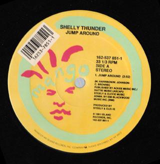 12-дюймовая пластинка SHELLY THUNDER Jump Around 1625378511 Mango 1991 US Rap HipHopRB Б/у