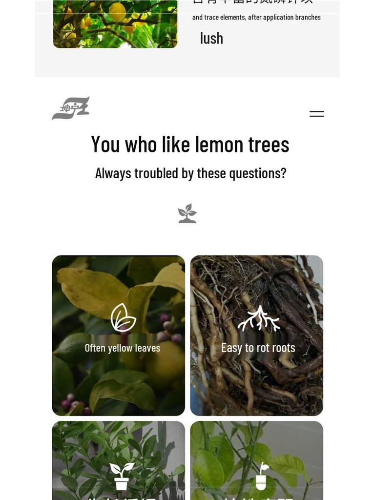 Питательный раствор без разбавления для любящих кислую почву бонсай и зеленых растений