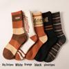 Women's Wool Socks - New Autumn/Winter Korean Striped Mid-Tube with Lettering, Heat-Storage, Warm, Trendy Pile Socks