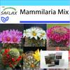 Подарочный набор - Mammillaire Mix - 40 семян - С подарочной коробкой, карточкой, этикеткой и горшечным субстратом - Mammilaria Mix