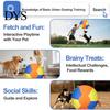 Inflatable Herding Ball for Dogs Calming with Cover Handle Training Anti-burst Dog Toy Large Breeds Small Medium Active Play Exercise