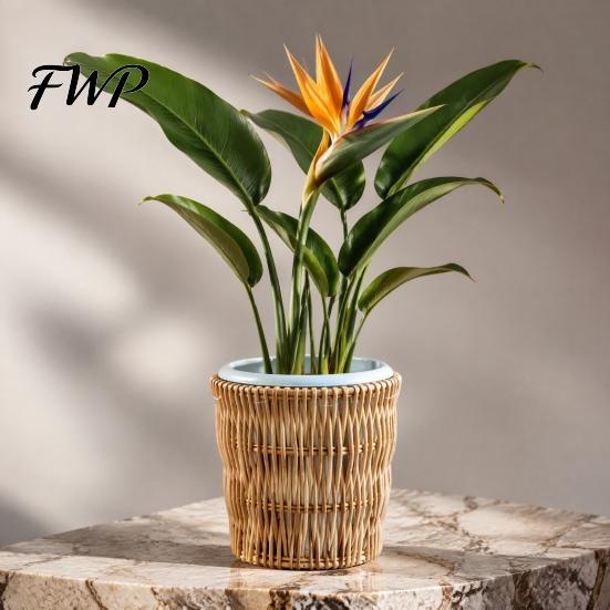 Balcony Desktop Plant Organizer Boho Wicker Planter, Handwoven Flower Pot with Waterproof Lining, Basket Planter Rustic Storage for Indoor Plants
